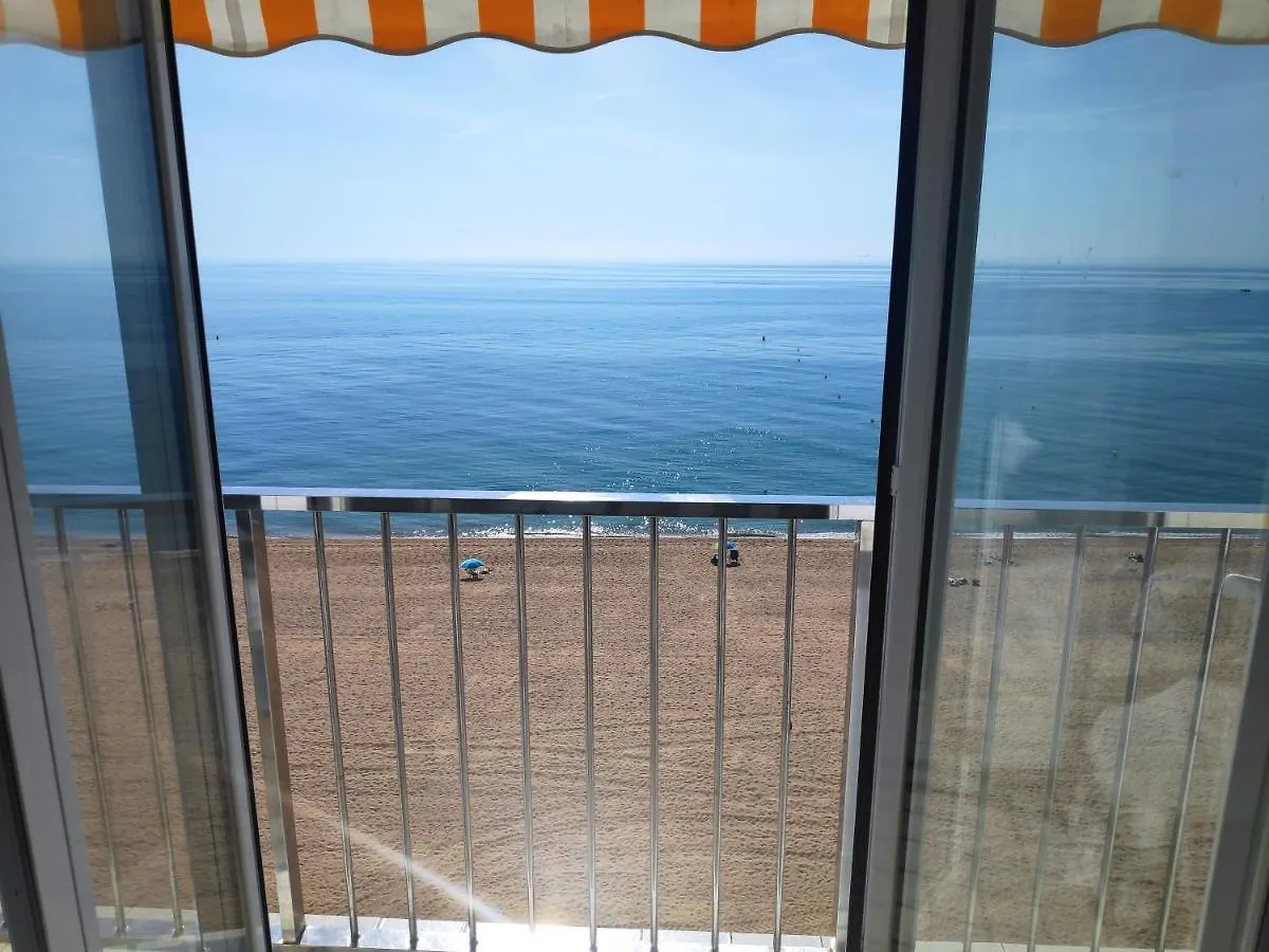 Beach Palace Apartamento Primera Linea De Mar location